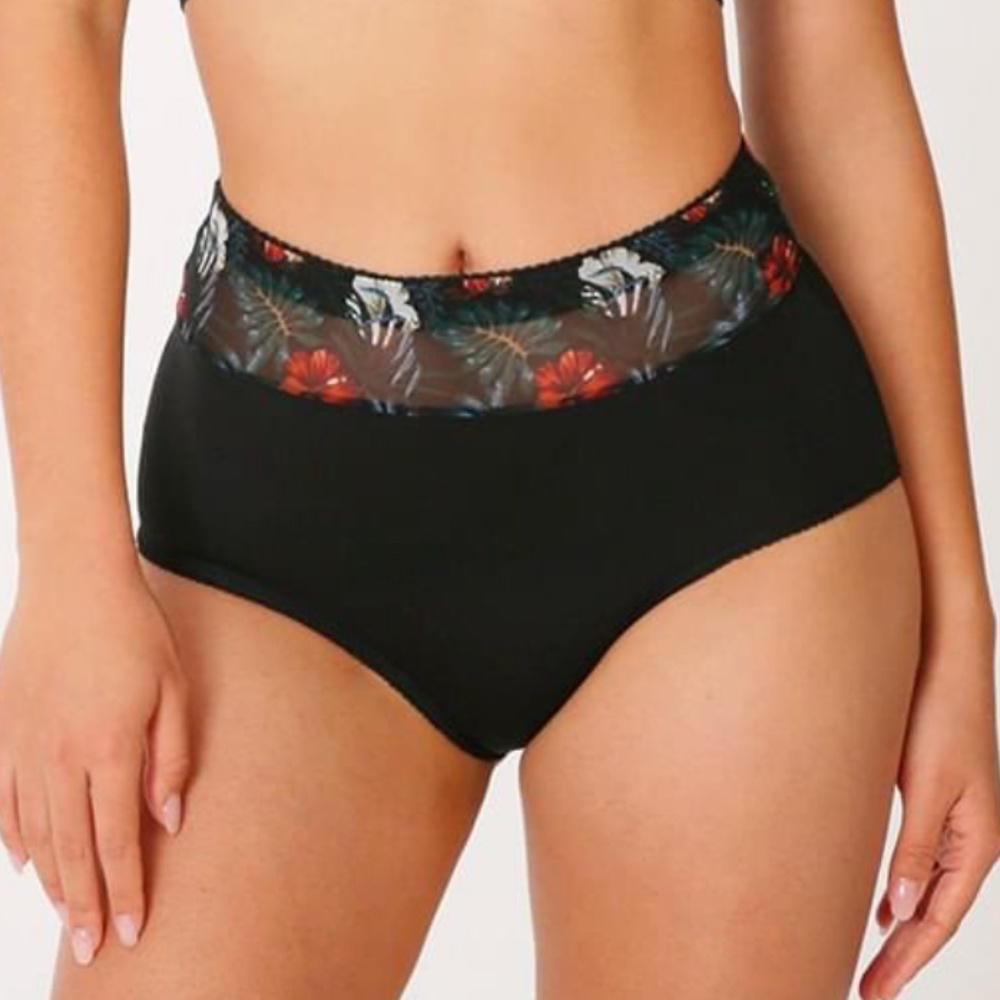 5 Pair Bundle - Rhonda Shear Mesh Insert High Waist Briefs